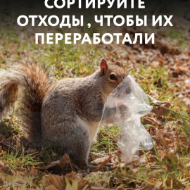 /base/attachments/105big.png /base/attachments/105big.png