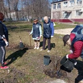 /base/attachments/полбина_сад_здоровья_2023-04-19_14-48-01-5592big.jpg /base/attachments/полбина_сад_здоровья_2023-04-19_14-48-01-5592big.jpg