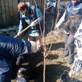 /base/attachments/полбина_сад_здоровья_2023-04-19_14-48-01-5595big.jpg /base/attachments/полбина_сад_здоровья_2023-04-19_14-48-01-5595big.jpg