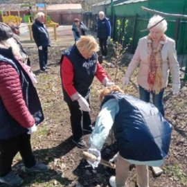 /base/attachments/полбина_сад_здоровья_2023-04-19_14-48-01-5596big.jpg /base/attachments/полбина_сад_здоровья_2023-04-19_14-48-01-5596big.jpg